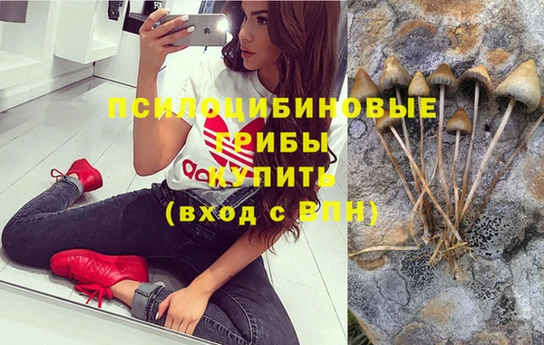 метадон Алексеевка