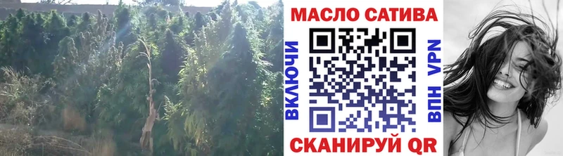ТГК THC oil  где купить   Россошь 
